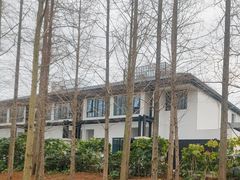 -黄海国家森林公园