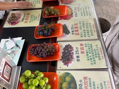 -马陆小张葡萄园农家乐