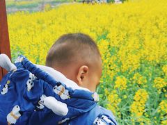 -桤木河湿地公园