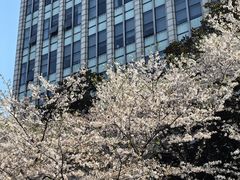 -星湖街(地铁站)