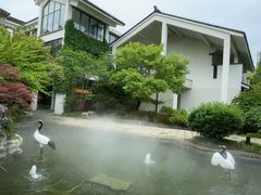 -广富林宰相府酒店·水云间