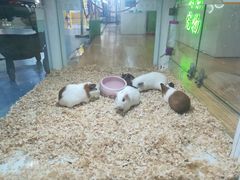-万达广场(大明宫店)