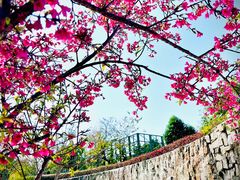 -纪念孙中山市政公园