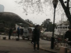 -陕西自然博物馆