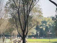 -邓小平故里