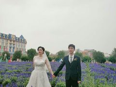 -百万葵园