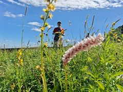 -白草畔自然风景区