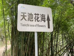 -广州市石门国家森林公园