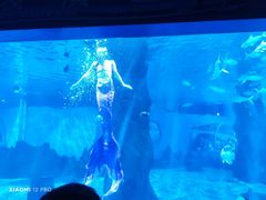 -北戴河圣蓝海洋公园