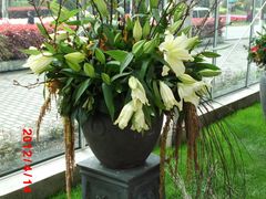 -上海鲜花港