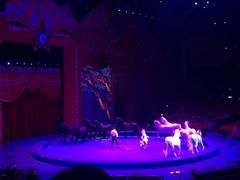 -珠海横琴长隆《卡卡虎奇遇记》