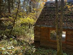 -五营红松林海景区