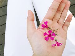 -意大利农场度假村