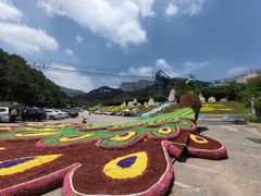 -大芦花风景区