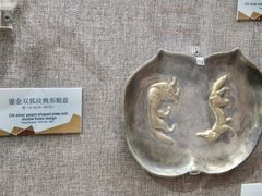 -烟台自然博物馆