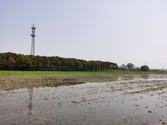 -嘉北郊野公园