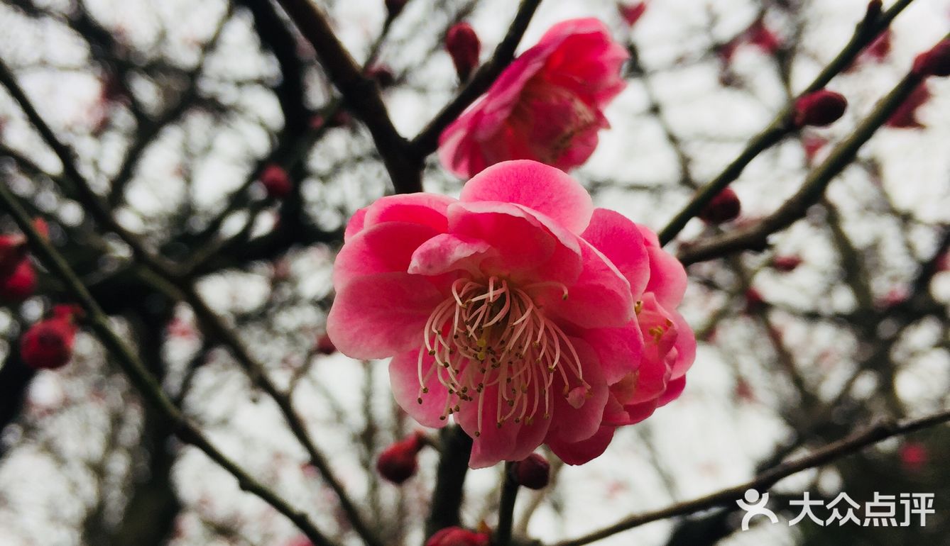 老天爷在春节几天给了几个晴天还是算蛮好的了