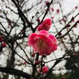 老天爷在春节几天给了几个晴天还是算蛮好的了