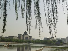 -莲花池公园