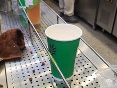 -雾与山茶(大禹城店)