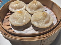 -点都德·毕德寮