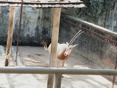 -深圳野生动物园