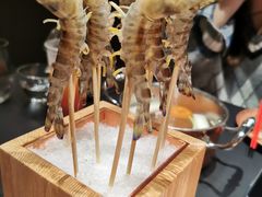 九节虾-澜棠海鲜(余姚阳明古镇店)