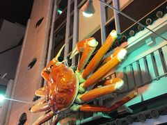 -蟹道乐(道顿堀本店)