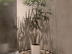 -二酉书店TOYOU BOOKS