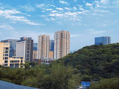 -鲤鱼塘农家山庄