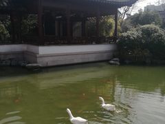 -祝家花園(伯渎港店)
