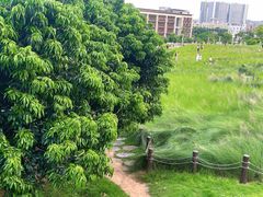 -红花山公园