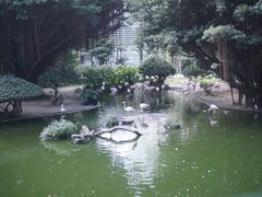 -九龙公园