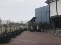 -白鹭湾湿地公园