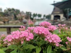 -静之湖度假区