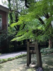 -上海瑞金洲际酒店·宴会厅
