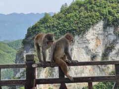 -重庆云阳龙缸景区