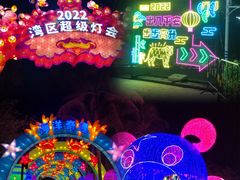 -欢乐海岸椰林沙滩-2025湾区超级灯会