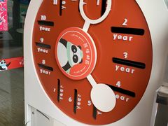 -熊猫邮局(少城店)