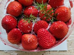 -Dark Horse·黑马蛋糕·低脂·低糖淡奶(金匙望湖大厦店)