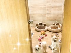 -Double Rui宠物酒店