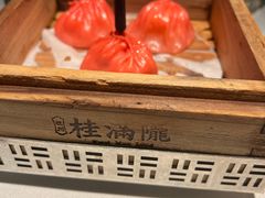 -桂满陇·海市蜃楼·黑金(国金店)