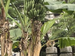-晓港公园