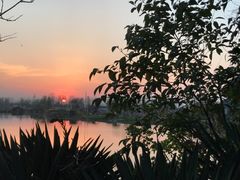 景点-南湖国家城市湿地公园
