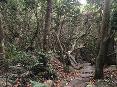 -呀诺达热带雨林
