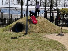 -前小桔亲子创意农场·草莓采摘·露营烧烤