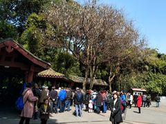 景点-望江楼公园