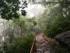 -北京上方山国家森林公园