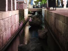 -南宋御街