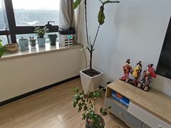 -八号公馆·老上海SPA(深圳北站店)